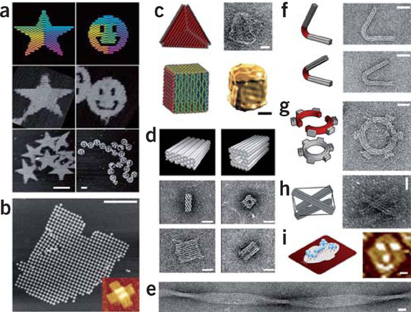 DNA origami figure2.jpg
