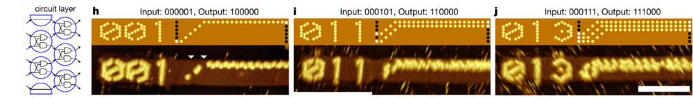 The Sorting circuit layer (far left) on three different 6-bit inputs (h-j) is show as a Simulation (top) and an AFM image (bottom). Black (0) and white (1) dots represent the input bits. Two white triangles are used to highlight streptavidin labelling errors in h. Scale bars, 100nm.