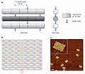 DNA origami figure1.jpg